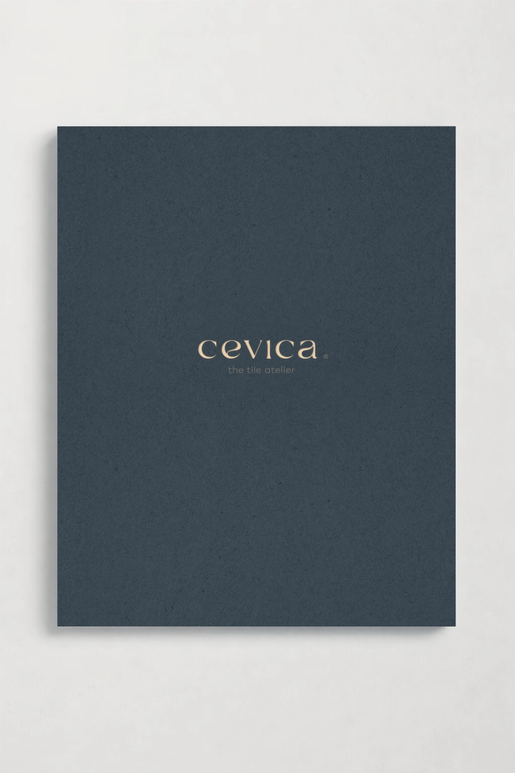 Catálogo General Cevica 2026
